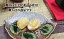 岐阜県中津川市の画像2
