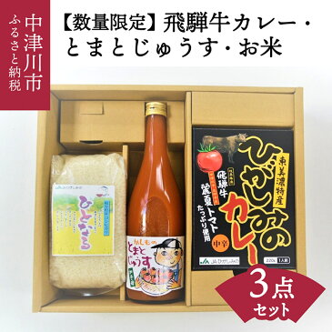 【ふるさと納税】【数量限定】JAひがしみの オリジナル 特産品 セット 1. 飛騨牛 カレー ・ とまと じゅうす ・ こしひかり 10235