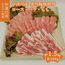 【ふるさと納税】チルド便でお届け!中津川産ブランド豚【栗旨豚】特盛1.5キロ!焼肉用 訳あり F4N-1234