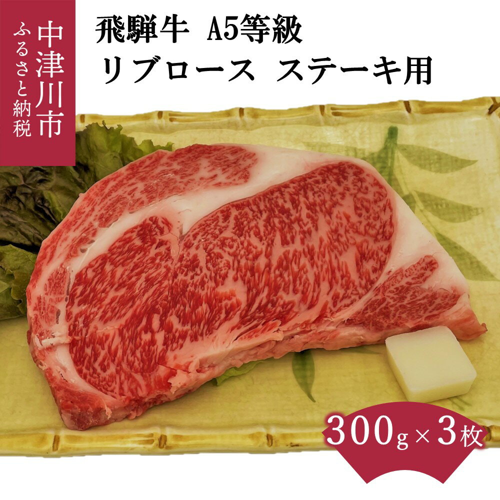 【ふるさと納税】【数量限定 チルド 冷蔵 発送】飛騨牛 A5 等級 リブロース 300g × 3枚 ステーキ 鉄板焼き 網焼き 焼肉 バーベキュー BBQ 45005