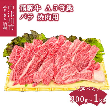 【数量限定 チルド 冷蔵 発送】飛騨牛 A5 等級 バラ 内容量が選べる( 300g 500g 1kg ) 焼肉 鉄板焼き 網焼き バーベキュー BBQ キャンプ アウトドア 国産 牛肉 高級 黒毛和牛 人気 ブランド 和牛 お祝い 記念日 誕生日お取り寄せ 送料無料 岐阜県 中津川市