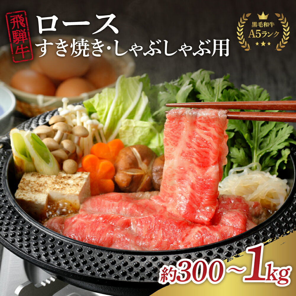 飛騨牛 【ふるさと納税】【数量限定】飛騨牛 A5 等級 ロース 内容量が選べる ( 300g 500g 1kg ) すき焼き すきやき しゃぶしゃぶ チルド 冷蔵 発送 黒毛和牛 ブランド牛 和牛 国産 牛肉 お祝い 誕生日 プレゼント 高級 お取り寄せ グルメ 送料無料 岐阜県 中津川市