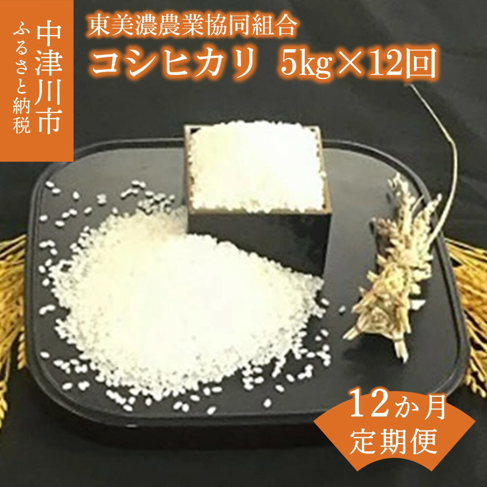 49位! 口コミ数「0件」評価「0」【定期便 12ヶ月】コシヒカリ 5kg × 12回 精米 人気 品種 100-004TB