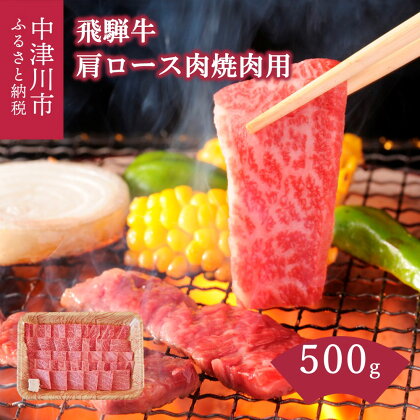 飛騨牛 肩ロース肉 焼肉 用 500g 【上見屋】 牛肉 和牛 国産 薄切り肉 炒め物 バーベキュー キャンプ アウトドア 誕生日 記念日 お祝い 人気 お取り寄せ グルメ 冷凍 送料無料【おうち BBQ】岐阜県 中津川市 25-006