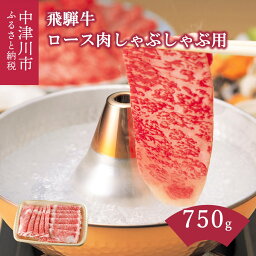 【ふるさと納税】飛騨牛 ロース肉 しゃぶしゃぶ用 750g 【上見屋】牛肉 和牛 国産 薄切り肉 誕生日 記念日 お祝い 人気 お取り寄せ グルメ 冷凍 送料無料 岐阜県 中津川市 49-009