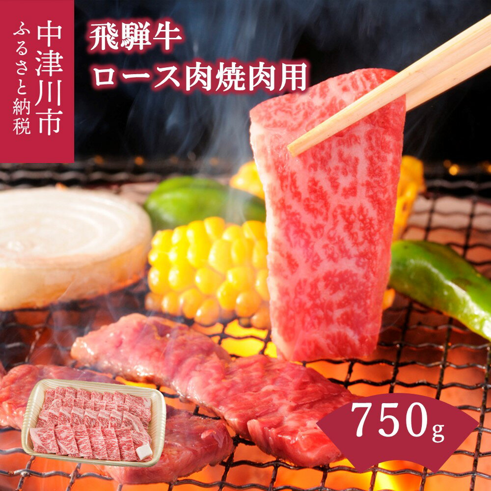 飛騨牛 ロース 肉 焼肉 用 750g [上見屋]牛肉 和牛 国産 炒め物 バーベキュー キャンプ アウトドア 誕生日 記念日 お祝い 人気 お取り寄せ グルメ 冷凍 送料無料[おうち BBQ]岐阜県 中津川市 49-010