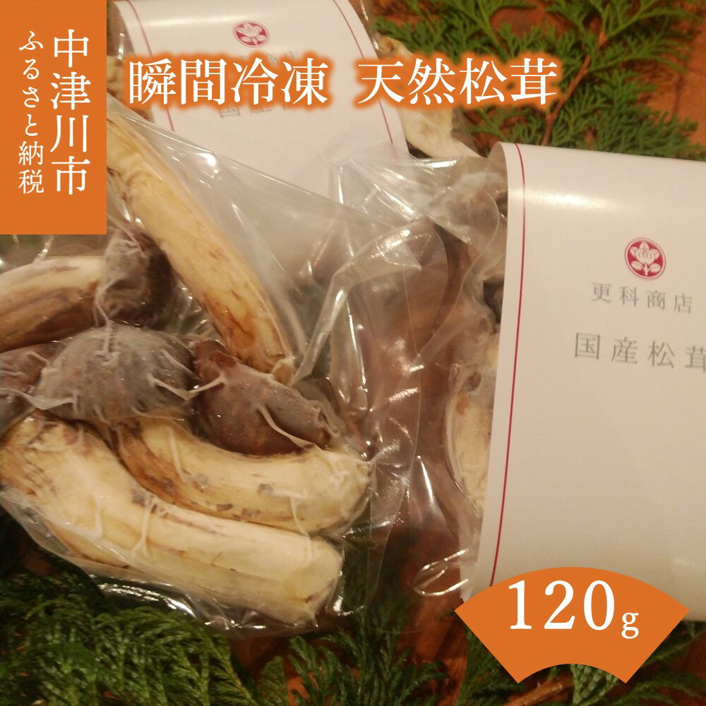 【ふるさと納税】岐阜県中津川瞬間冷凍天然松茸120g35002