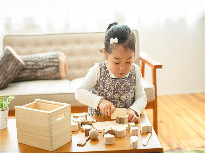 【ふるさと納税】IKONIH 食材セット F4N-0876