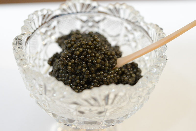 【ふるさと納税】中津川キャビア S Caviar 50-002