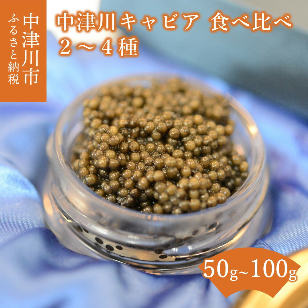 中津川 キャビア 食べ比べ セット (2種 50g / 3種 75g / 4種 100g) S Caviar Labo 送料無料 岐阜県 中津川市