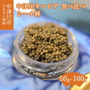 21位! 口コミ数「0件」評価「0」中津川 キャビア 食べ比べ セット (2種 50g / 3種 75g / 4種 100g) S Caviar Labo 送料無料 岐阜県 中･･･ 