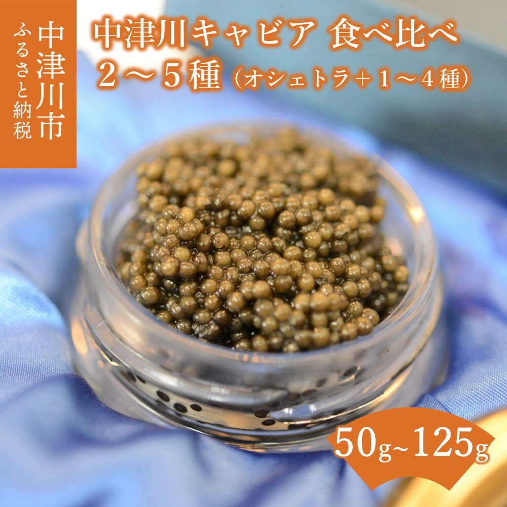 【ふるさと納税】中津川 キャビア 食べ比べ セット オシェトラ 付き (2種 50g / 3種 75g / 4種 100g / ..