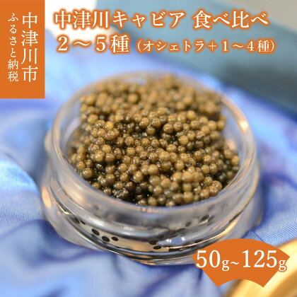 中津川 キャビア 食べ比べ セット オシェトラ 付き (2種 50g / 3種 75g / 4種 100g / 5種 125g) S Caviar Labo 送料無料 岐阜県 中津川市