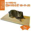 ペット用お手入れ用品人気ランク4位　口コミ数「7件」評価「4.86」「【ふるさと納税】猫 つめとぎ 2枚入 選べるサイズ ( 小 / 中 / 大 ) サイズ ダンボール 製 フレーム 付き 爪とぎ 猫ベッド ねこ グッズ 猫用品 ペット用品 日本製 国産 おもちゃ 送料無料 岐阜県 中津川市」