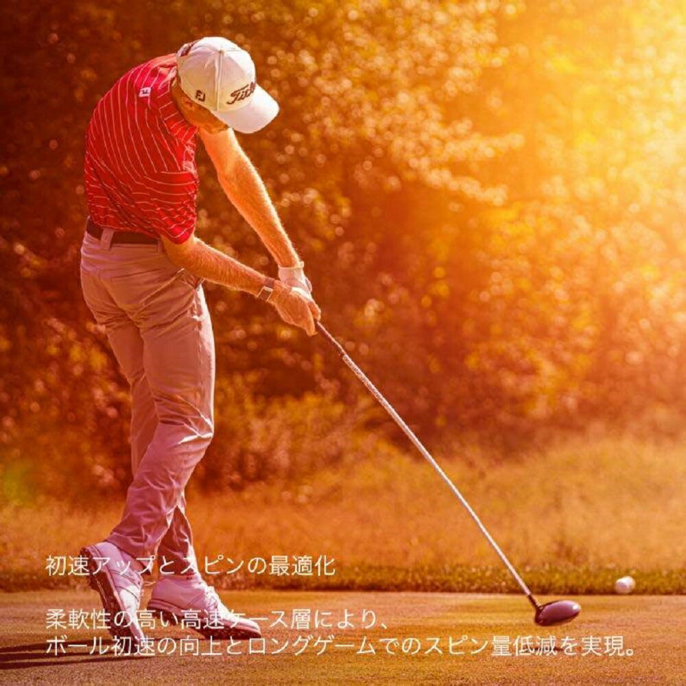 【ふるさと納税】Titleist PRO V1x 3ダース 中津川市オリジナルゴルフボール リニアロゴ入り タイトリスト【ふるさと納税限定】 63003