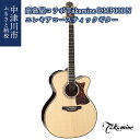 【ふるさと納税】1290001 【高島屋コラボ】＜Takamine＞エレクトリック・アコースティックギター　DMP000N