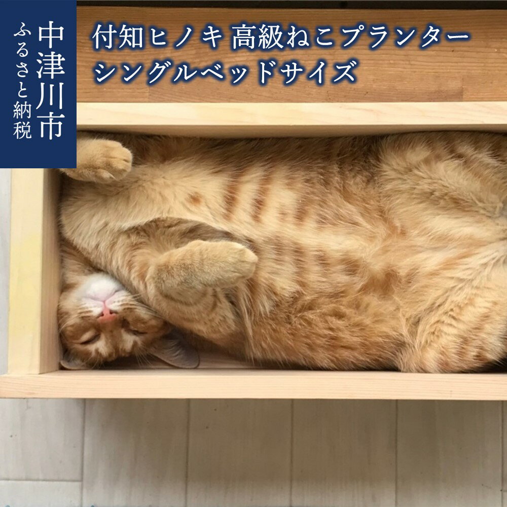 【ふるさと納税】人気 3日で1035個売れた 付知ヒノキの高級 ねこ プランター シングルベッドサイズ 25008