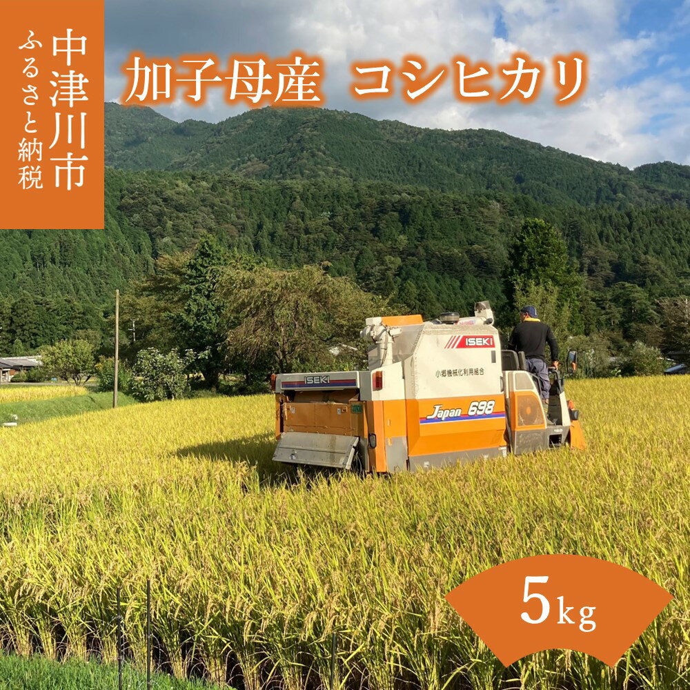 【ふるさと納税】コシヒカリ 5kg 米 白米 精米 岐阜県 中津川市 加子母 産 送料無料 10-031