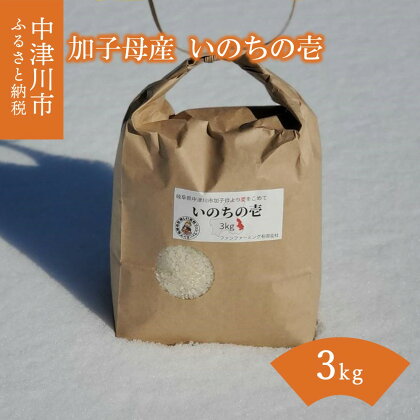 いのちの壱 3kg 加子母産 米 白米 精米 岐阜県 中津川市 加子母 産 送料無料 9-012