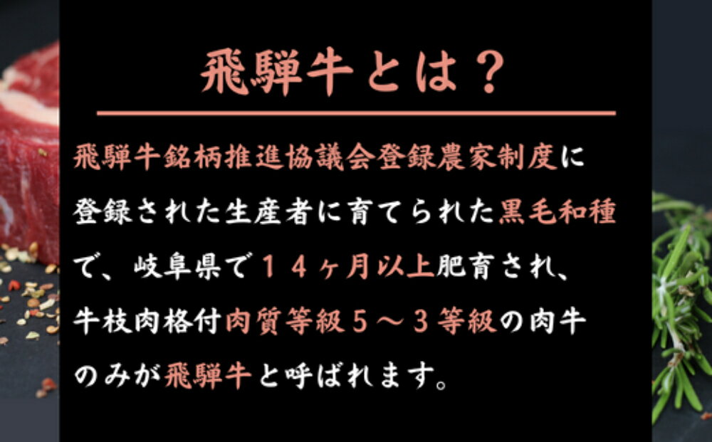 【ふるさと納税】【数量限定 チルド 冷蔵 発送】飛騨牛 A5 等級 ヒレ・サーロイン・リブロース 鉄板焼き 網焼き 焼肉 バーベキュー BBQ 43-003