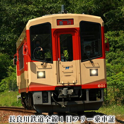 【ふるさと納税】長良川鉄道全線1日フリー乗車証　【 