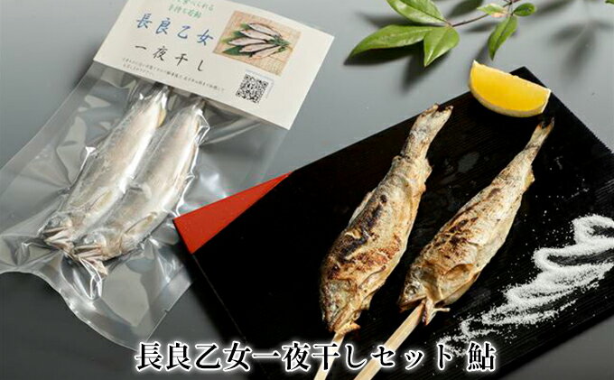 【ふるさと納税】長良乙女一夜干しセット 鮎　【 和食 惣菜 魚 つまみ おかず お酒 晩酌 あて お供 肴 魚料理 調理済み 川魚 骨 柔らかい 頭 丸ごと 旨味 凝縮 冷凍 干物 】