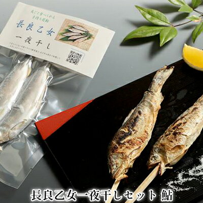 【ふるさと納税】長良乙女一夜干しセット 鮎 【 和食 惣菜 魚 つまみ おかず お酒 晩酌 あて お供 肴 魚料理 調理済み 川魚 骨 柔らかい 頭 丸ごと 旨味 凝縮 冷凍 干物 】