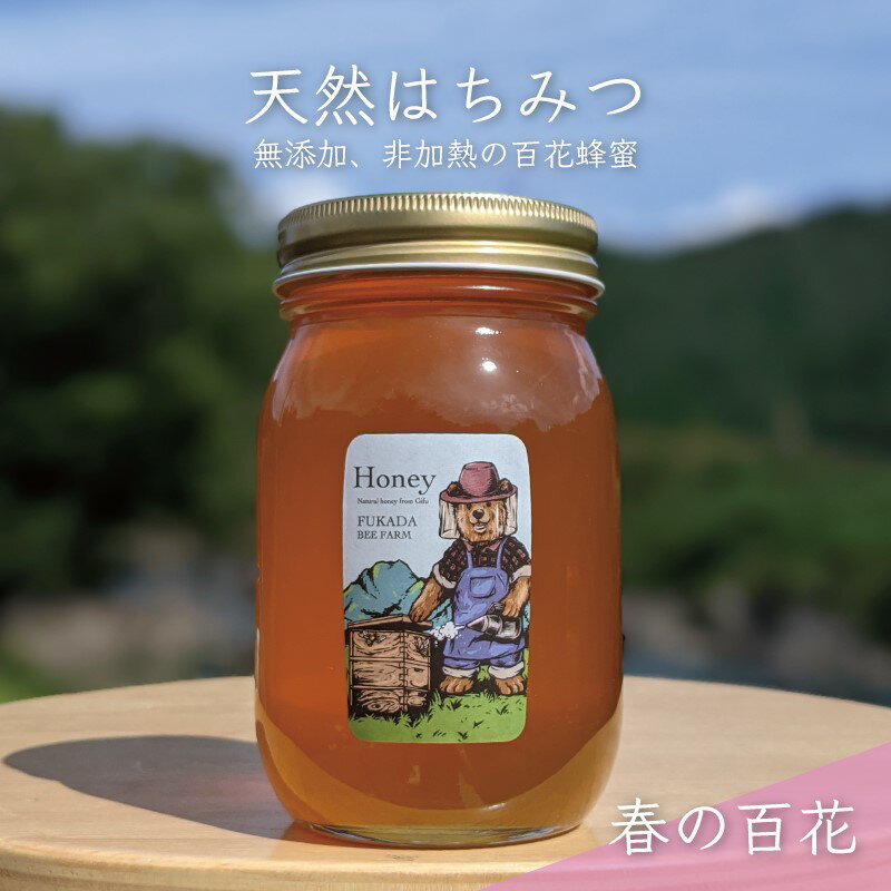 【ふるさと納税】合計600g 天然蜂蜜 国産蜂蜜 非加熱 生はちみつ 岐阜県 美濃市産 春 (蜂蜜600g入りガラス瓶1本)A5　【 ハニー 調理 料理 味付け 甘味 百花蜜 深い味わい 自然の味 無添加 】