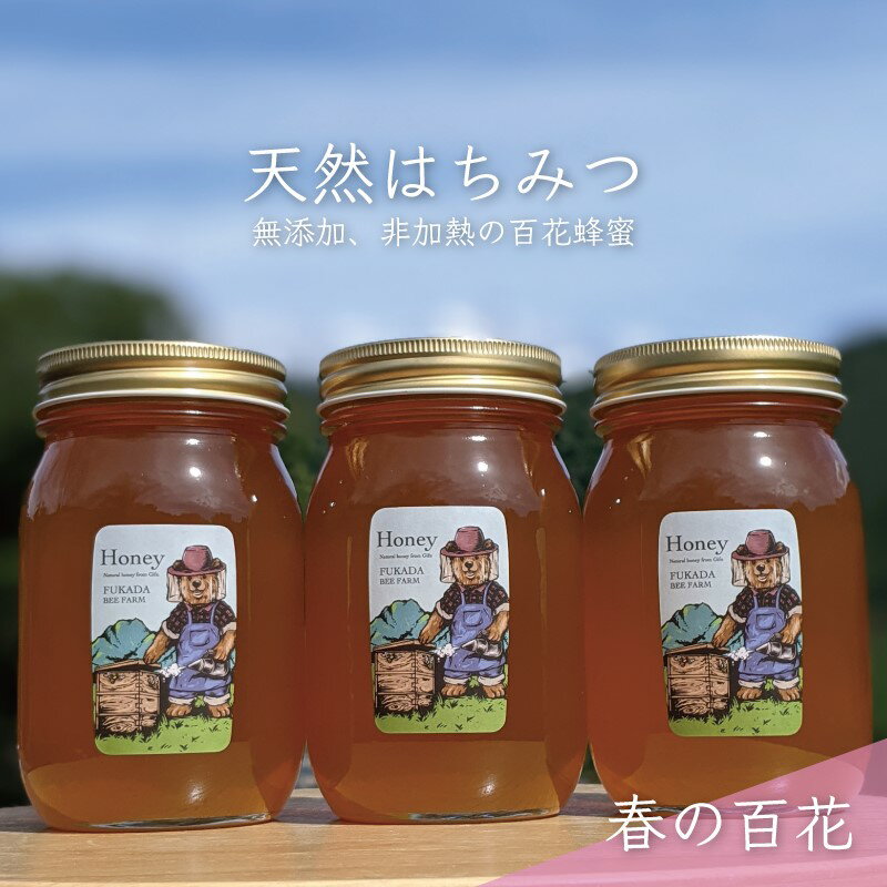 【ふるさと納税】【先行予約 2025年6月20日より発送】合計1800g 天然蜂蜜 国産蜂蜜 非加熱 生はちみつ 岐阜県 美濃市産 春 (蜂蜜600g入りガラス瓶3本セット)A7 深田養蜂のハチミツ