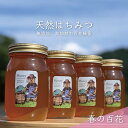 【ふるさと納税】合計2400g 天然蜂蜜 国産蜂蜜 非加熱 生はちみつ 岐阜県 美濃市産 春 (蜂蜜600g入りガラス瓶4本)A8 深田養蜂のハチミツ