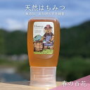 【ふるさと納税】【先行予約 2025年6月20日より発送】合計300g 天然蜂蜜 国産蜂蜜 非加熱 生はちみつ 岐阜県 美濃市産 春 (蜂蜜300g入りピタッと...