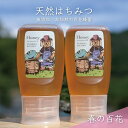 【ふるさと納税】【先行予約 2025年6月20日より発送】合計600g 天然蜂蜜 国産蜂蜜 非加熱 生はちみつ 岐阜県 美濃市産 春 (蜂蜜300g入りピタッと...