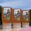 【ふるさと納税】【先行予約 2025年6月20日より発送】合計900g 天然蜂蜜 国産蜂蜜 非加熱 生はちみつ 岐阜県 美濃市産 春 (蜂蜜300g入りピタッと...