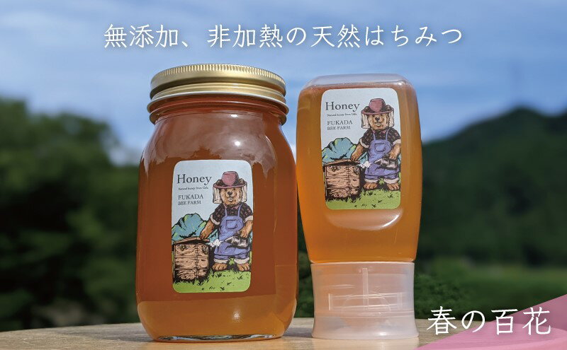 【ふるさと納税】【先行予約 2025年6月20日より発送】合計900g 天然蜂蜜 国産蜂蜜 非加熱 生はちみつ 岐阜県 美濃市産 春 (蜂蜜600g入りガラス瓶1本,蜂蜜300g入りピタッとボトル1本のセット)A15 深田養蜂のハチミツ