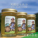 【ふるさと納税】合計690g 天然蜂蜜 国産蜂蜜 非加熱 生はちみつ 岐阜県 美濃市産 初夏 (蜂蜜230g入りガラス瓶3本セット)B3 深田養蜂のハチミツ