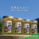 26位! 口コミ数「0件」評価「0」合計920g 天然蜂蜜 国産蜂蜜 非加熱 生はちみつ 岐阜県 美濃市産 初夏 (蜂蜜230g入りガラス瓶4本)B4　【 ハニー 調理 料理 ･･･ 