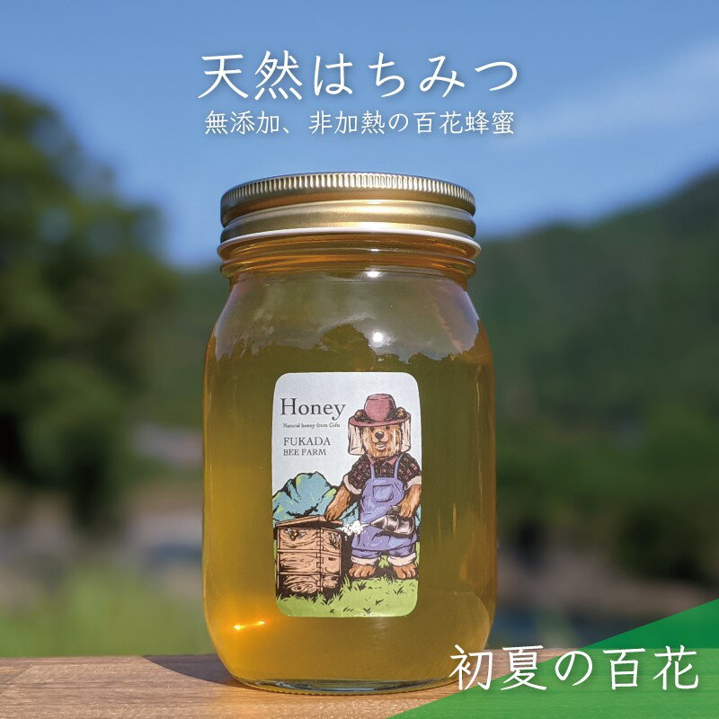 合計600g 天然蜂蜜 国産蜂蜜 非加熱 生はちみつ 岐阜県 美濃市産 初夏 (蜂蜜600g入りガラス瓶1本)B5 深田養蜂のハチミツ