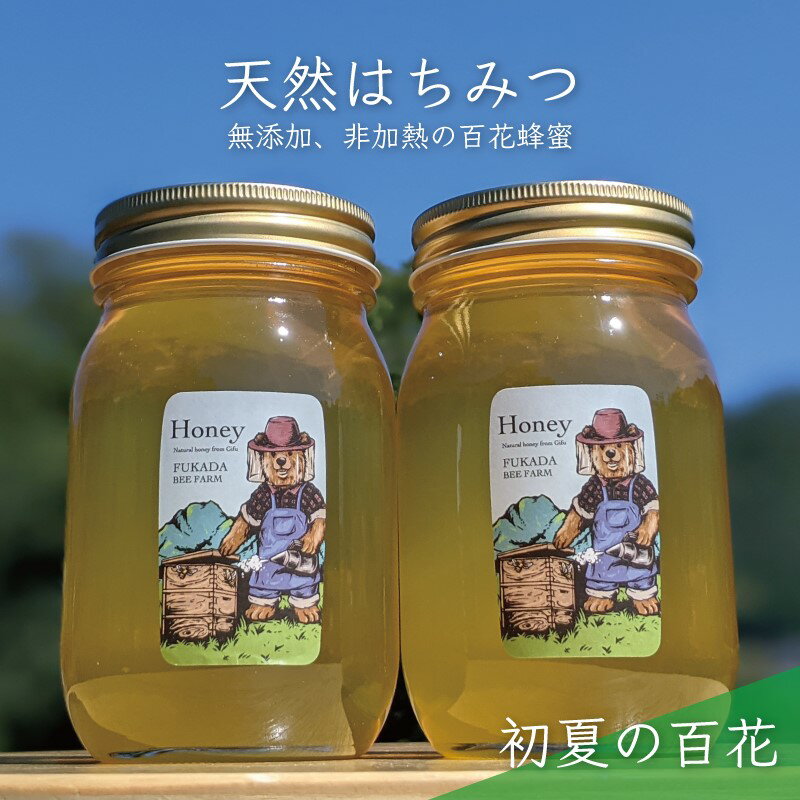 【ふるさと納税】合計1200g 天然蜂蜜 国産蜂蜜 非加熱 