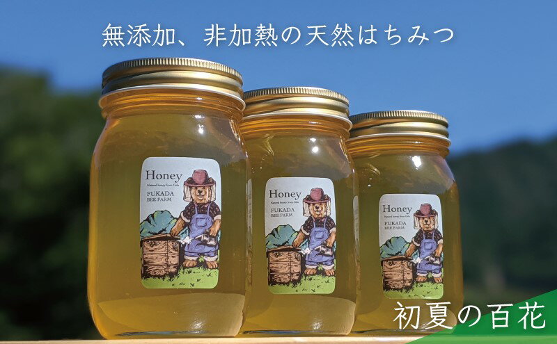 【ふるさと納税】【先行予約 2025年6月20日より発送】合計1800g 天然蜂蜜 国産蜂蜜 非加熱 生はちみつ 岐阜県 美濃市産 初夏 (蜂蜜600g入りガラス瓶3本セット)B7 深田養蜂のハチミツ