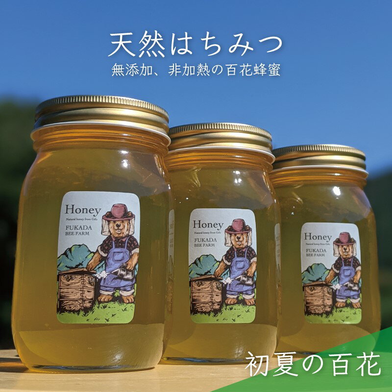 【ふるさと納税】合計1800g 天然蜂蜜 国産蜂蜜 非加熱 生はちみつ 岐阜県 美濃市産 初夏 (蜂蜜600g入りガラス瓶3本セット)B7　【 ハニ..