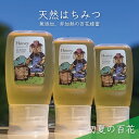 【ふるさと納税】【先行予約 2025年6月20日より発送】合計900g 天然蜂蜜 国産蜂蜜 非加熱 生はちみつ 岐阜県 美濃市産 初夏 (蜂蜜300g入りピタッ...