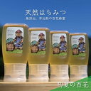 【ふるさと納税】【先行予約 2025年6月20日より発送】合計1200g 天然蜂蜜 国産蜂蜜 非加熱 生はちみつ 岐阜県 美濃市産 初夏 (蜂蜜300g入りピタ...