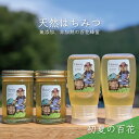 【ふるさと納税】【先行予約 2025年6月20日より発送】合計1060g 天然蜂蜜 国産蜂蜜 非加熱 生はちみつ 岐阜県 美濃市産 初夏 (蜂蜜230g入りガラ...