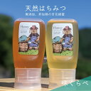 【ふるさと納税】【先行予約 2025年6月20日より発送】合計600g 天然蜂蜜 国産蜂蜜 非加熱 生はちみつ 岐阜県 美濃市産 味比べ 蜂蜜300g入りピタッ...