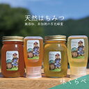 【ふるさと納税】【先行予約 2025年6月20日より発送】合計1800g 天然蜂蜜 国産蜂蜜 非加熱 生はちみつ 岐阜県 美濃市産 味比べセット (蜂蜜600g...