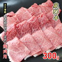 26位! 口コミ数「0件」評価「0」牛肉 飛騨牛 焼き肉 赤身 モモ 又は カタ 300g 黒毛和牛 A5 美味しい お肉 牛 肉 和牛 焼肉 BBQ バーベキュー 【岐阜県美･･･ 