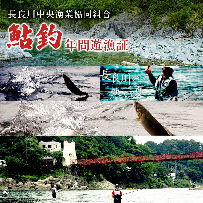 鮎釣年間遊漁証