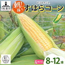 【ふるさと納税】朝採り とうもろこし すはらコーン 8~12本 トウモロコシ イエロー 玉蜀黍 コーン 野菜 旬 夏野菜 甘い 朝採れ 人気 自家用 ギフト 手...