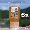 【ふるさと納税】【先行予約 2025年6月20日より発送】合計1800g 天然蜂蜜 国産蜂蜜 非加熱 生はちみつ 岐阜県 美濃市産 春 (蜂蜜300g入りピタッ...