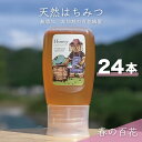 【ふるさと納税】【先行予約 2025年6月20日より発送】合計7200g 天然蜂蜜 国産蜂蜜 非加熱 生はちみつ 岐阜県 美濃市産 春 (蜂蜜300g入りピタッ...